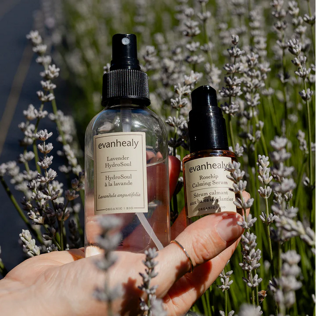 two evanhealy brand products in glass bottles held up by a white hand in a bunch of lavender