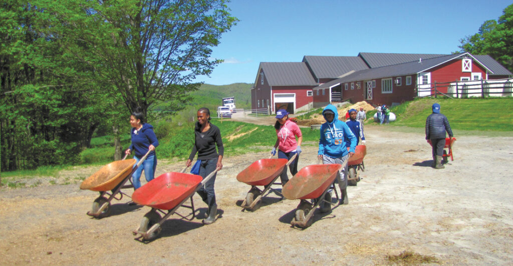 wheelbarrows from barn