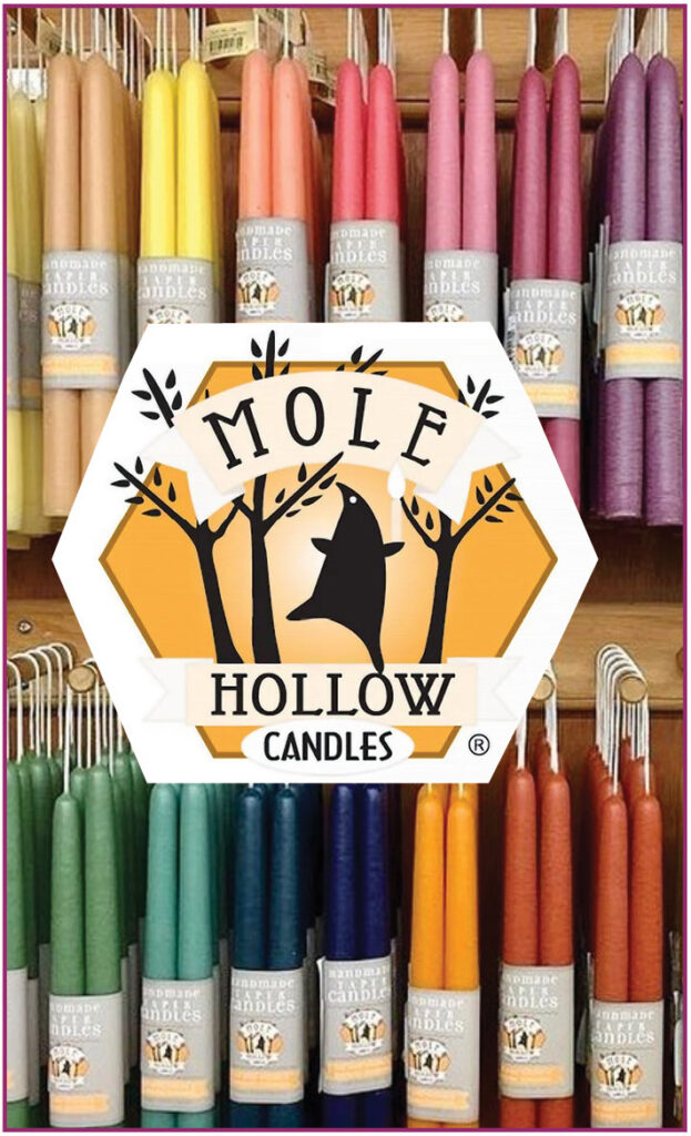 MoleHOllowWeb