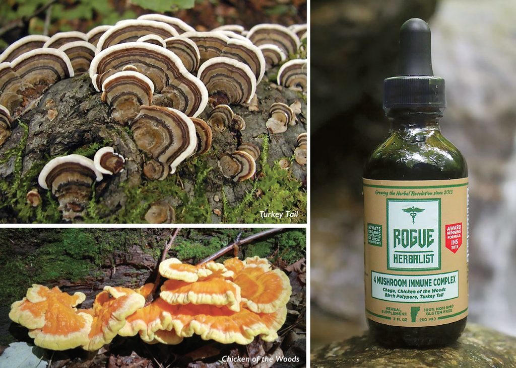 Mushroom Complex